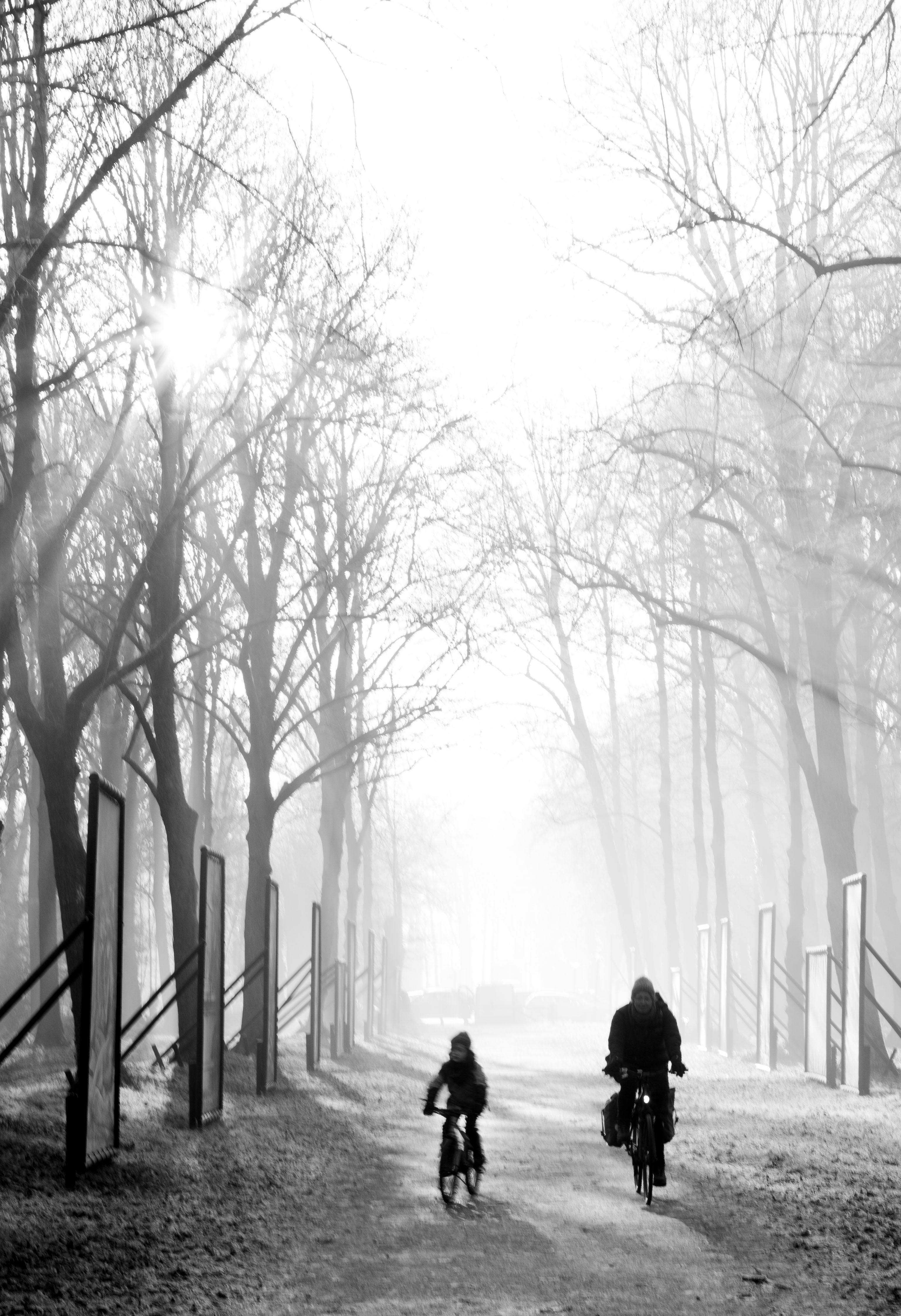 Father and son cycling in the forest